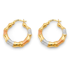 14K Tri Color Gold Bamboo Hollow Hoop Earrings