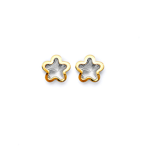 14K Two Tone Gold DC Star Push Back Earrings