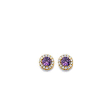 Load image into Gallery viewer, 14K Yellow Gold CZ Round February Birth Stone Earrings