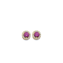 Load image into Gallery viewer, 14K Yellow Gold CZ Round June Birth Stone Earrings