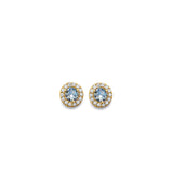 14K Yellow Gold CZ Round March Birth Stone Earrings