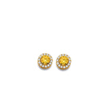 14K Yellow Gold CZ Round November Birth Stone Earrings