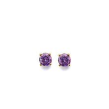 Load image into Gallery viewer, 14K Yellow Gold CZ Round Flower Basket February Birth Stone Earrings