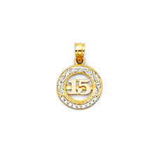 Load image into Gallery viewer, 14K Tri Color Gold CZ 15 Years Pendant