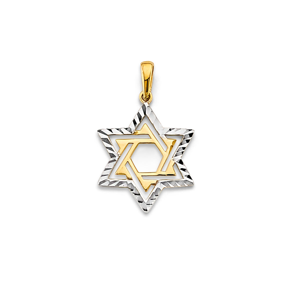 14K Two Tone Gold Star Of David Pendant