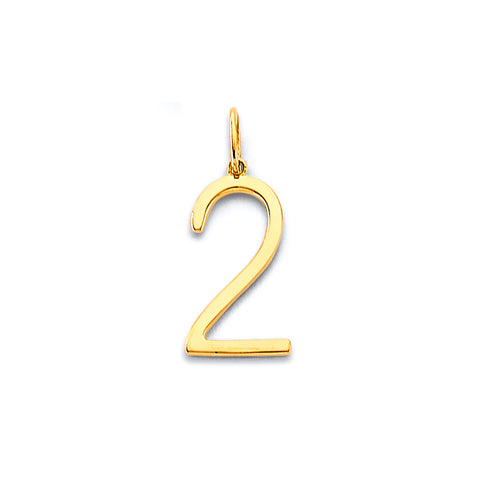 14K Yellow Gold 2 Number Pendant