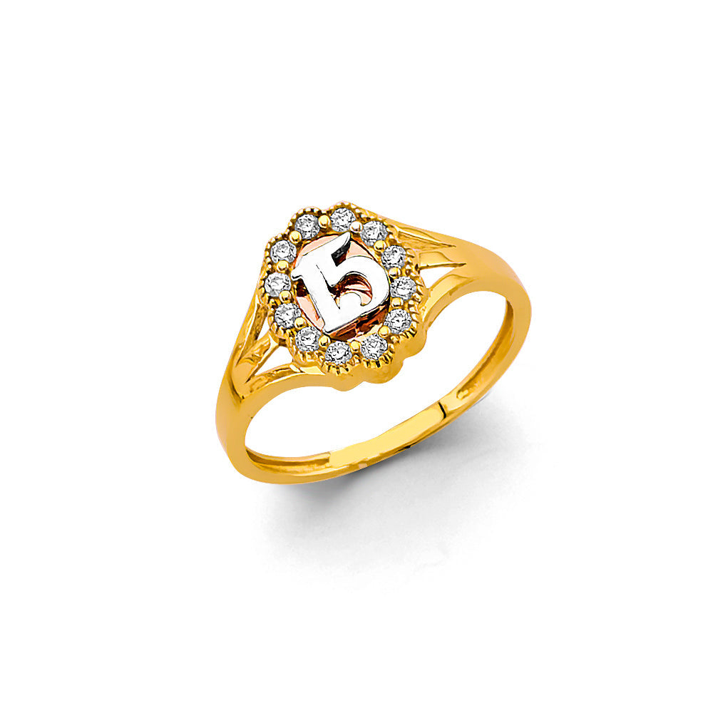 14K Two Tone Gold CZ 15 Years Ring