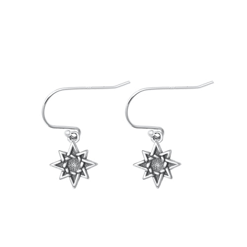 Sterling Silver Oxidized Star Earrings