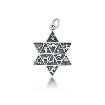 Sterling Silver Oxidized Tribes Of Israel And Star Of David Pendant