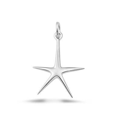 Sterling Silver Oxidized And Polished Starfish Pendant