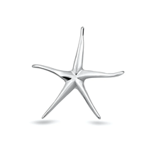 Load image into Gallery viewer, Sterling Silver Oxidized And High Polished Starfish Pendant