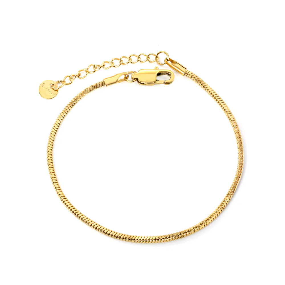 Stainless Steel Gold Color PVD Round Tail Plague Square Snake Bone Bracelet
