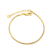 Load image into Gallery viewer, Stelluxe Stainless Steel Gold Color PVD Round Tail Plague Square Snake Bone Bracelet