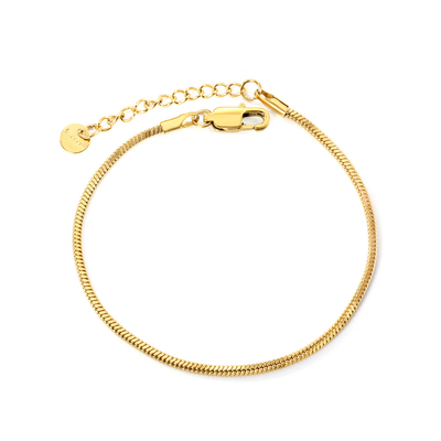 Stelluxe Stainless Steel Gold Color PVD Round Tail Plague Square Snake Bone Bracelet