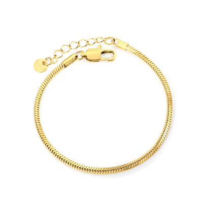 Stelluxe Stainless Steel Gold Color PVD Square Snake Bone Bracelet With Round Tail Plague