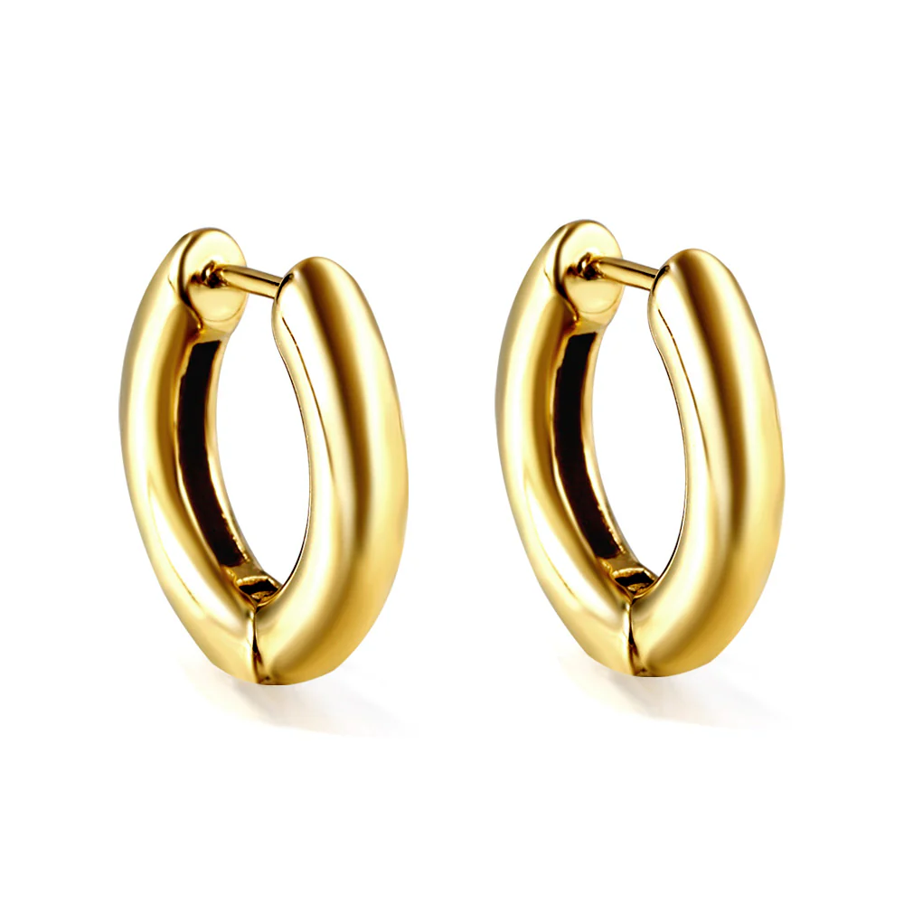 Stainless Steel Gold Color PVD Round Clasp Earrings