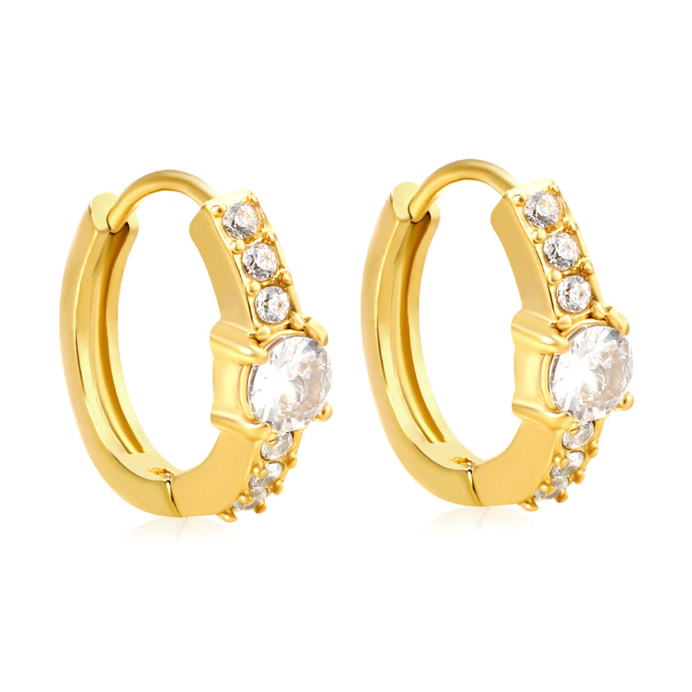Stainless Steel Gold Color PVD Round With White Zirconia Hook Earrings