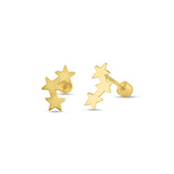 14K Yellow Gold Multi Star Cubic Zirconia Stud With Screw Back Earrings