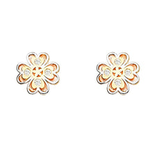 Load image into Gallery viewer, 14K Gold Assorted Earrings With Push Back - silverdepot