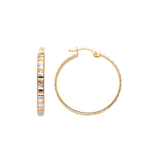 Load image into Gallery viewer, 14K Tricolor Designed DC Flat Hoop Earring