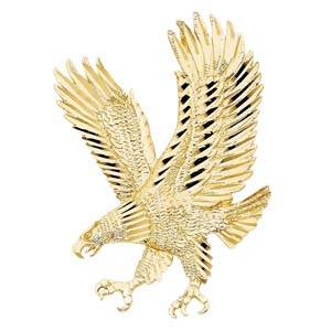 14k Yellow Gold 43mm Eagle Assorted Pendant