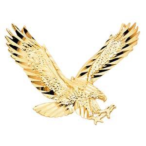 14k Yellow Gold 30mm Eagle Assorted Pendant