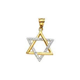 14K Two Tone 14mm Star of David Pendant