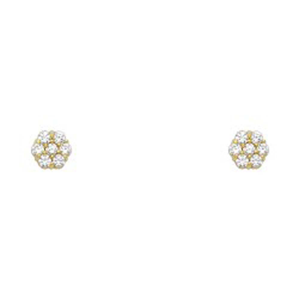 14k Yellow Gold Flower Clear CZ April Birth Stone Stud Earrings With Screw Back