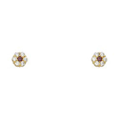 14k Yellow Gold Flower Light Amethyst CZ June Birth Stone Stud Earrings With Screw Back