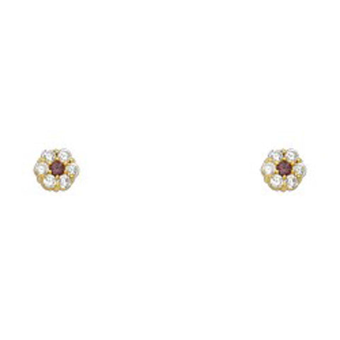14k Yellow Gold Flower Light Amethyst CZ June Birth Stone Stud Earrings With Screw Back