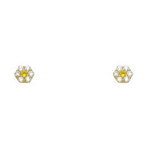 14k Yellow Gold Flower Topaz CZ November Birth Stone Stud Earrings With Screw Back