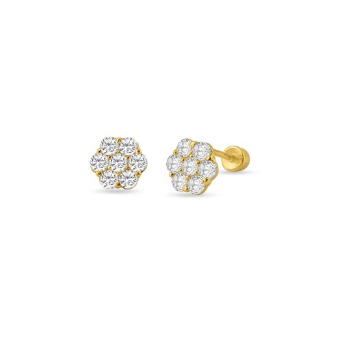 14K Yellow Gold Flower CZ Screw Back Stud Earrings