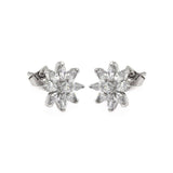 Sterling Silver  Rhodium Plated Flower Shaped Stud Earring With CZ Stones