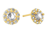 14K Yellow Gold Clear CZ Screw Back Earrings