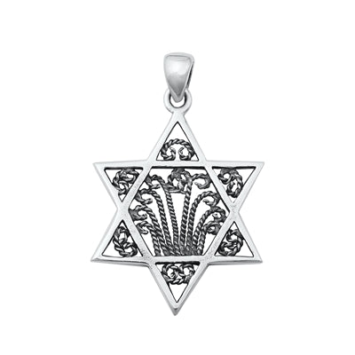 Sterling Silver Oxidized Star of David Pendant-27.5 mm
